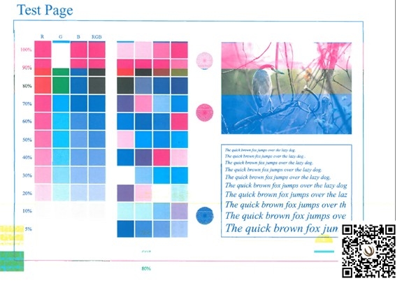 打印图像缺色效果问题
