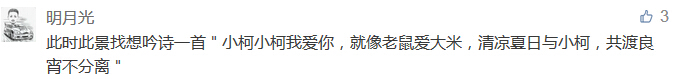 此时此景找想吟诗一首＂小柯小柯我爱你，就像老鼠爱大米，清凉夏日与小柯，共渡良宵不分离＂-科颐办公分享